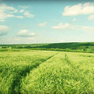 激情做爱添下面吃奶疯狂视频
